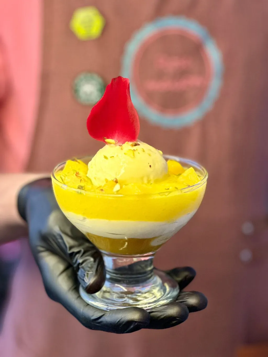 Mango Maison cl 285